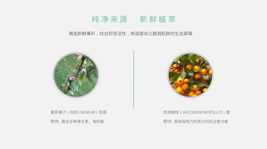 初鲜（Ciptafresh）婴儿手口湿巾的主要成分介绍