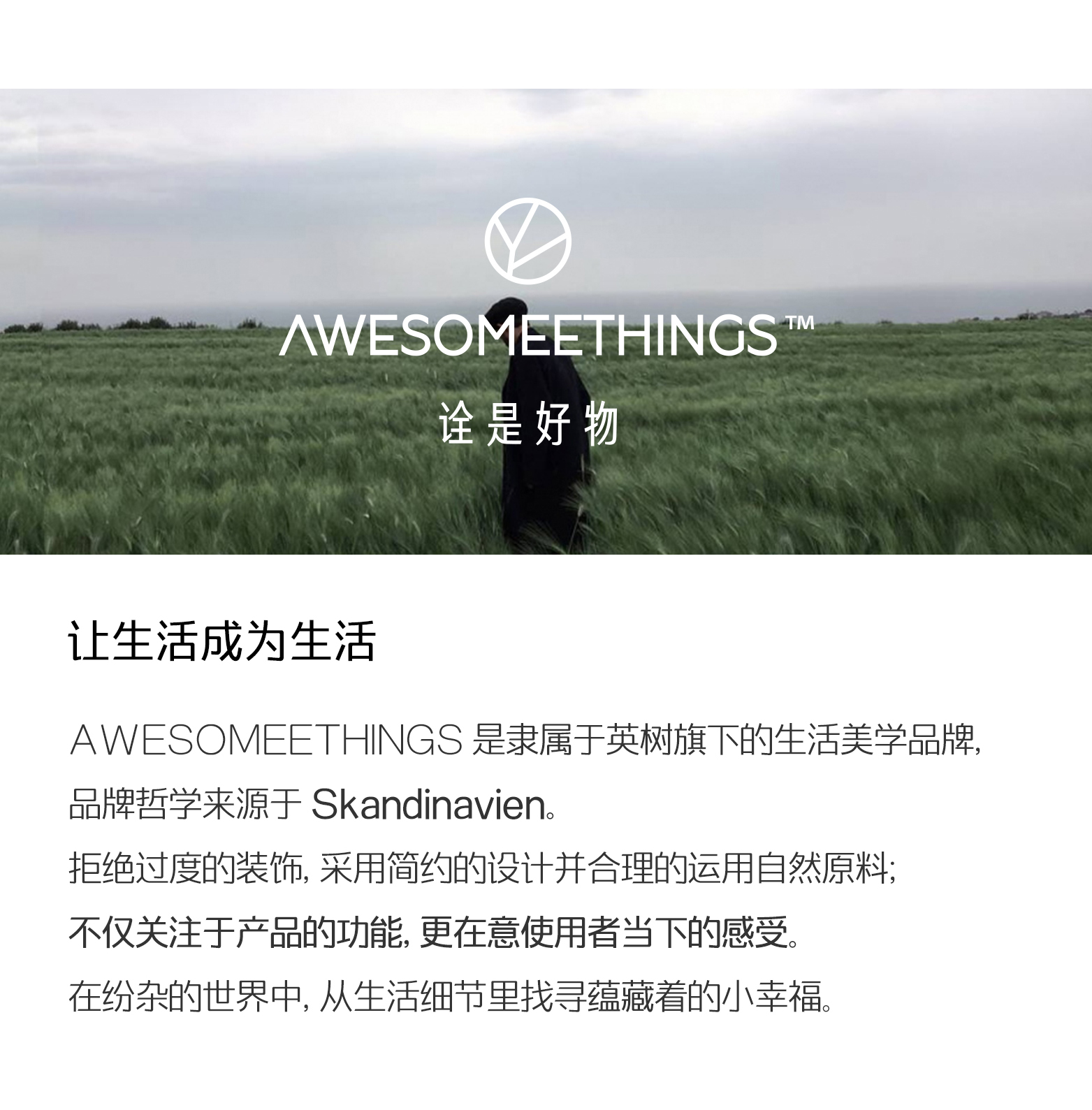 AWESOMEETHINGS双头多用棉签，产品所属品牌的品牌介绍